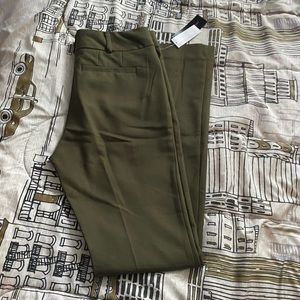 Olive bootcut dress pants